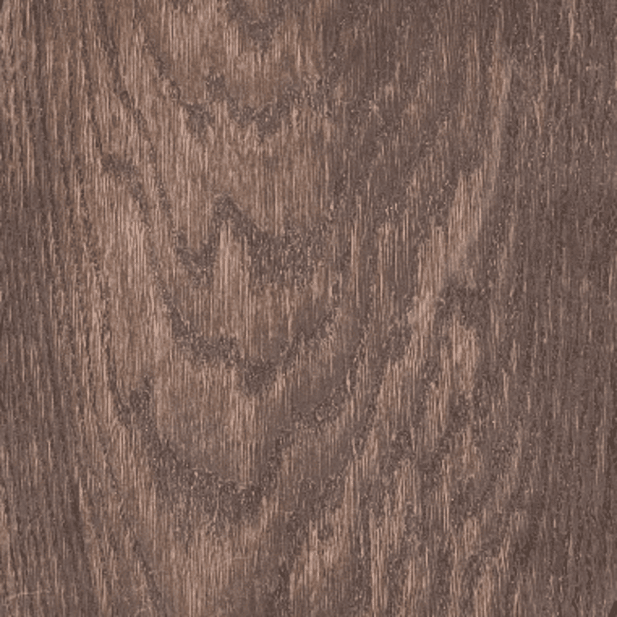 Nahaufnahme einer Trophäenschild-Gämse mit brauner Holzstruktur und markanten vertikalen Maserungen.