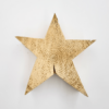 Ein Produkt namens Stern zeigt einen strukturierten goldenen Stern vor einem schlichten weißen Hintergrund.
